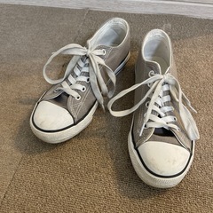 コンバース風　シューズ　22.5cm
