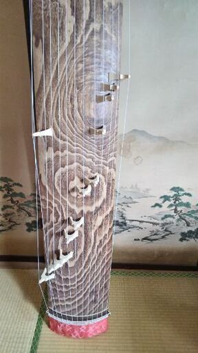琴