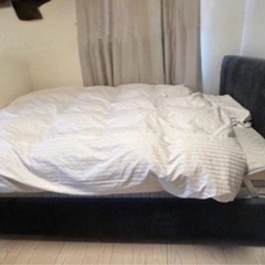 ダブルベット