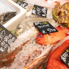 "毎日の食卓に感動を届ける"　sakana bacca社員メンバー募集(鮮魚加工業務あり）の画像