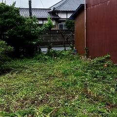お手伝いします🌺