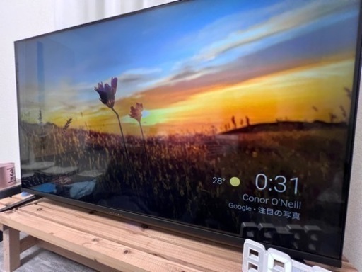 家電 テレビ 液晶テレビ