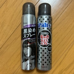 黒染めスプレー２本