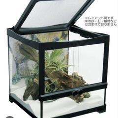 爬虫類　ヒュドラケース3133　グラステラリウム3030