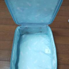 アナと雪の女王キャリーバッグセットの画像