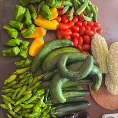 今朝採れ　無農薬野菜