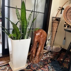 生活雑貨 家庭用品 ガーデニング