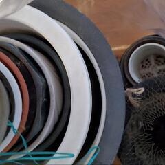 化粧鉢&プラ鉢の画像