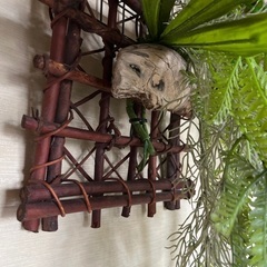 フェイクグリーン　コウモリ蘭の画像