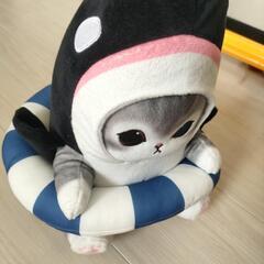 シャチにゃん🦈の画像