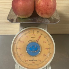 信州あずみ野林檎