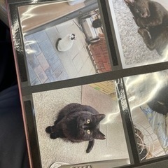 引越し断捨離③の画像