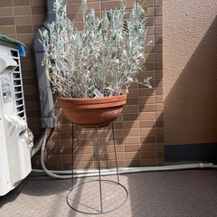 観葉植物 植木鉢　スツール