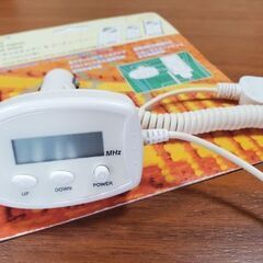 Apple iPod nano 第２世代 + 専用カーチャージャーの画像