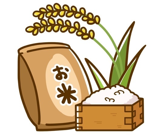 (決定)令和5年産 コシヒカリ 30kg