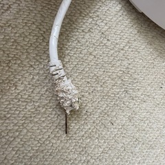 決まりましたの画像