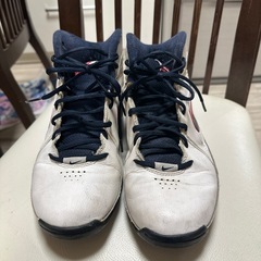 NIKEのバッシュ25.5センチ