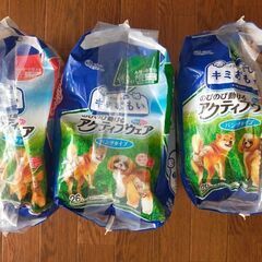 犬のおむつ　お値下げしました。お得🉐の画像