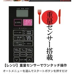 2017年製 アイリスオーヤマ オーブンレンジ 16Lの画像