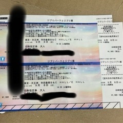 大人2枚　ジブリパークとジブリ展　東京　入場チケット2枚　イベン...