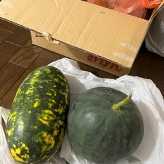 スイカ　すいか　１玉