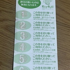 ピュアキッズ　ニッケコルトンプラザ　回数券　1日利用券　2024...