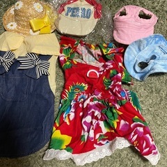まとめ売り　ペット服　帽子の画像