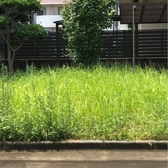 草刈り作業行いました。