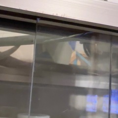 ガラスショーケース棚 シンプル レトロ 0円！差し上げます！の画像