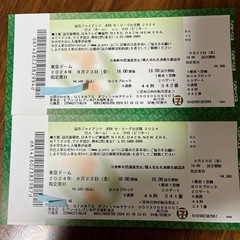 東京ドーム巨人戦チケット連番2枚でこの値段　本日23日‼️  