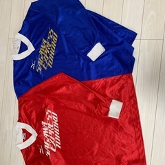 総額5万程度ヴィンテージ Tシャツ祭りの画像