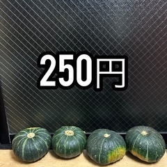 北海道美瑛産 虹ロマンかぼちゃ　自然な甘さと豊かな風味をお届け1...