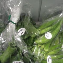 新鮮野菜コーナー8月23日の品出し予定です。