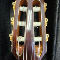 takamine タカミネ ギター DMP611N CN ケース有りの画像