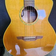 takamine タカミネ ギター DMP611N CN ケース有りの画像
