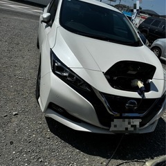 リーフG