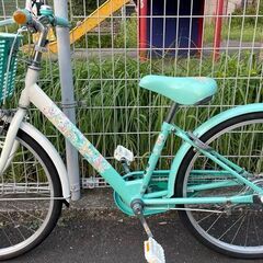 ブリジストンエコパルの中古が安い！激安で譲ります・無料で