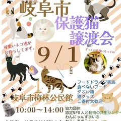 ❌中止❌梅林🐾保護猫譲渡会