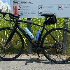 人気ブランド！ domane al4 2023
