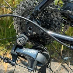 人気ブランド！ domane al4 2023
の画像