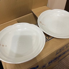 お皿2枚