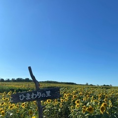 大人になってから友達ってどうやって作るの？