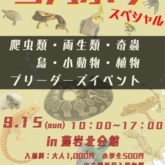 コバぶりスペシャル