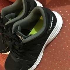 本日23日限りの価格　レディース安全靴(23.0)の画像