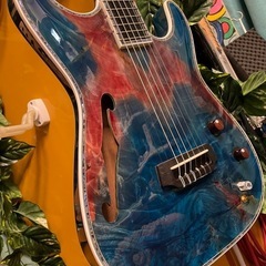 Combat guitars ST warm GUT エレガットの画像
