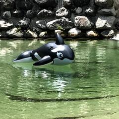 良い季節になってきたんぢゃないですかぁ！