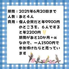 【デュオリンゴファミリー会員メンバーあと2人募集！】の画像