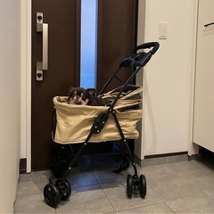 ペットカート　ペットバギー
美品