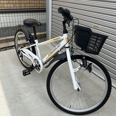 マウンテンバイク商談中
の画像