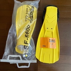 フィン